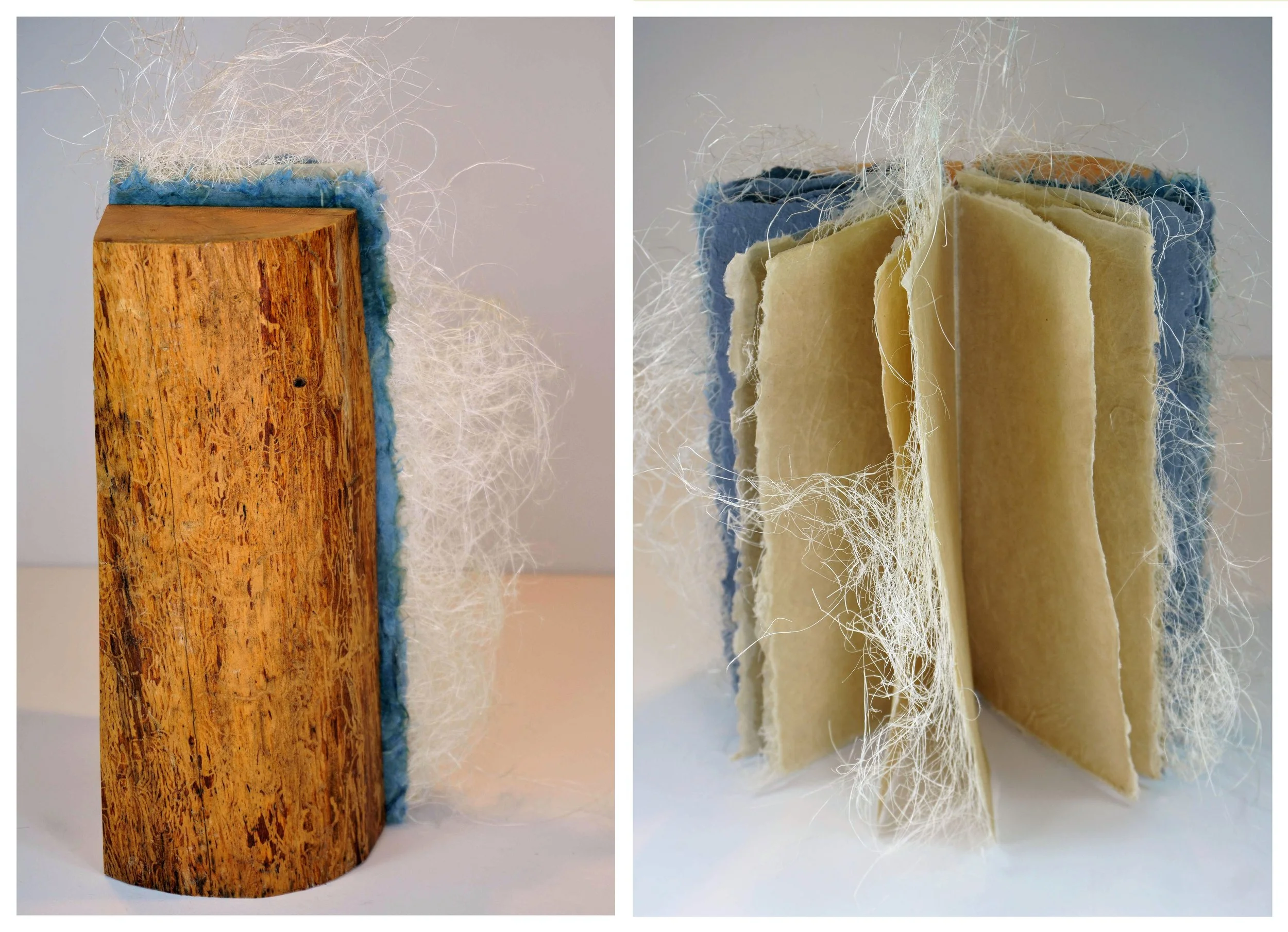 Art of the Garden — Schack Art Center